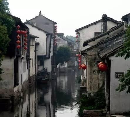 说句掏心窝子的话,在你妈眼里,你还真不如一只猫